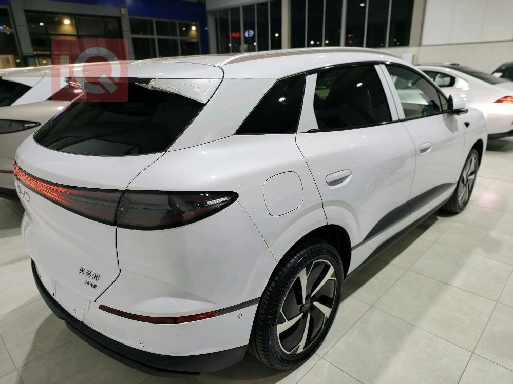 بي واي دي سيليون 06 DM-i